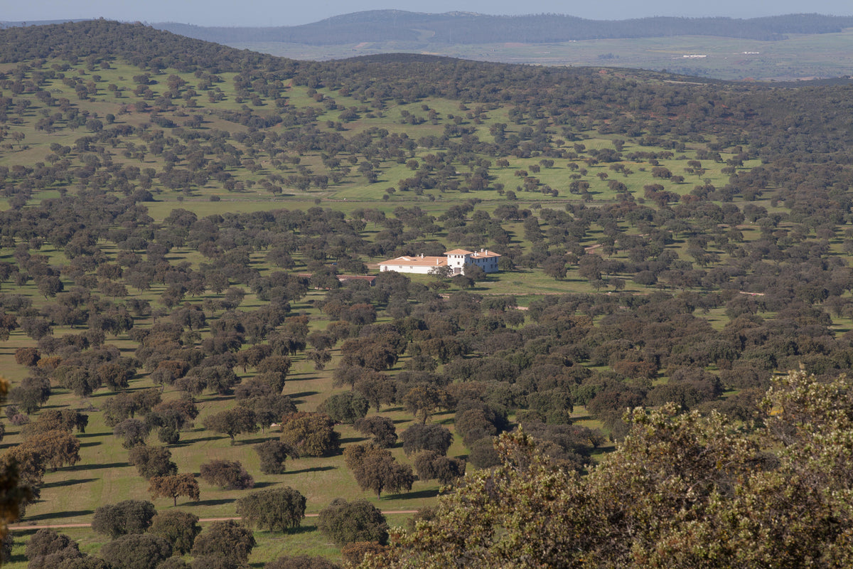 Finca-dehesa y Cortijo Los Lomillos